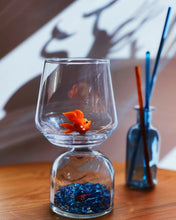 Charger l'image dans la galerie, Verre Nemo