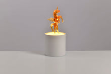 Load image into Gallery viewer, Lampe de Nuit -UNICORN-Verre de Murano
