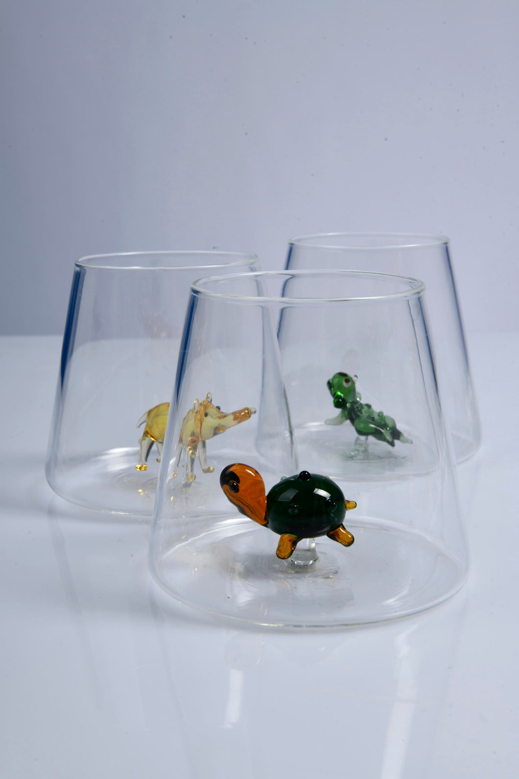 Verre Tortue